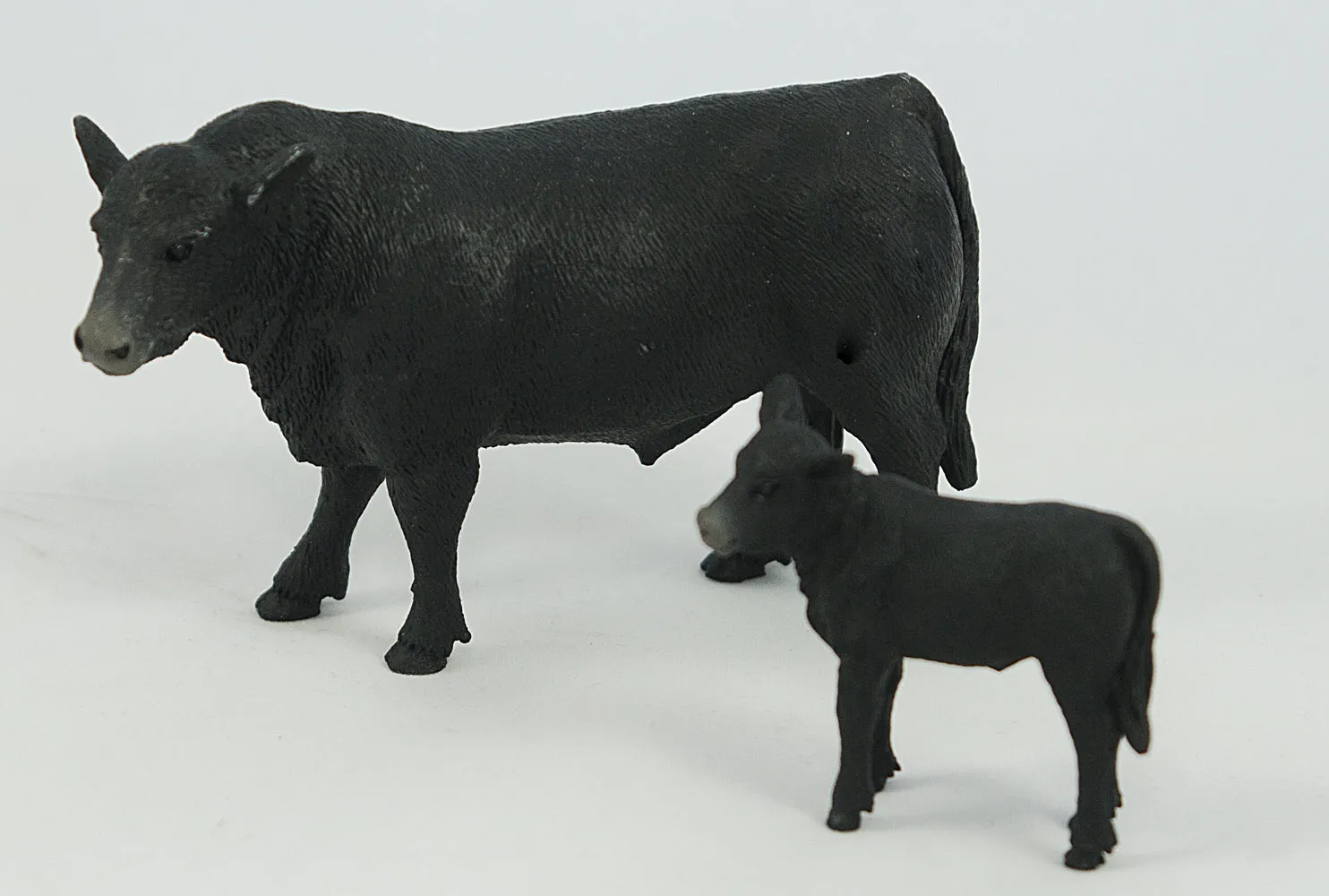 Angus Cow and Calf