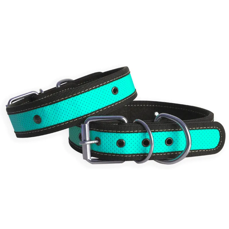 Collar de Perro Neon Cool Can