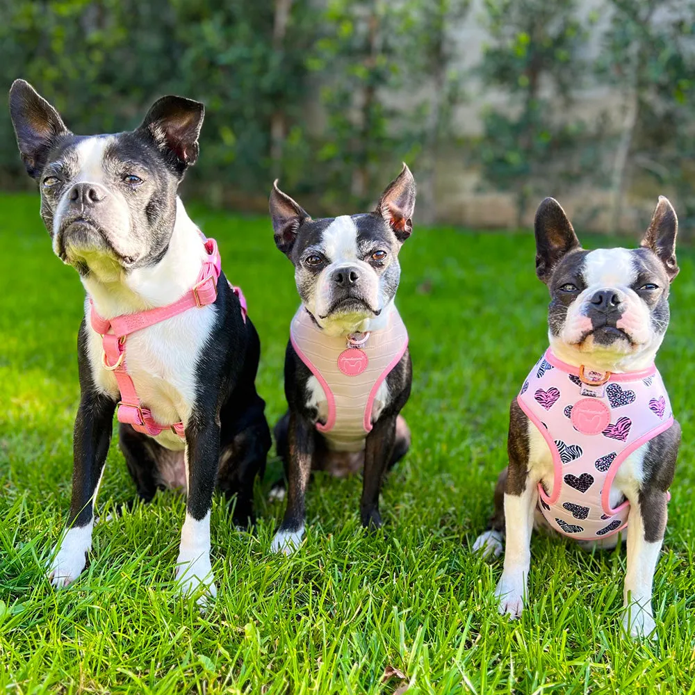 Frenchiestore Reversible Dog Health Harness | Blushed