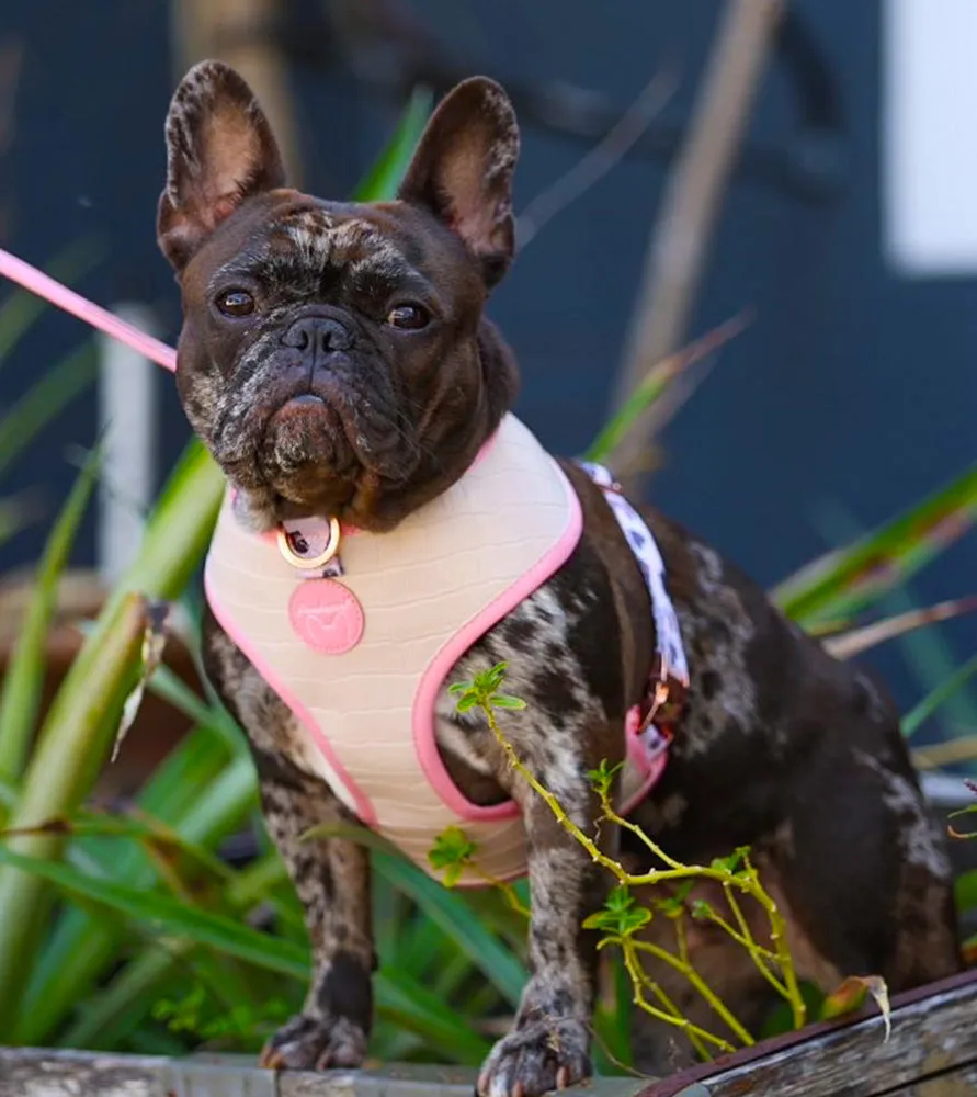 Frenchiestore Reversible Dog Health Harness | Blushed